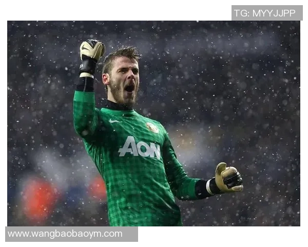 曼联头像足球的魅力与历史探秘，揭示红魔背后的传奇故事与球迷文化